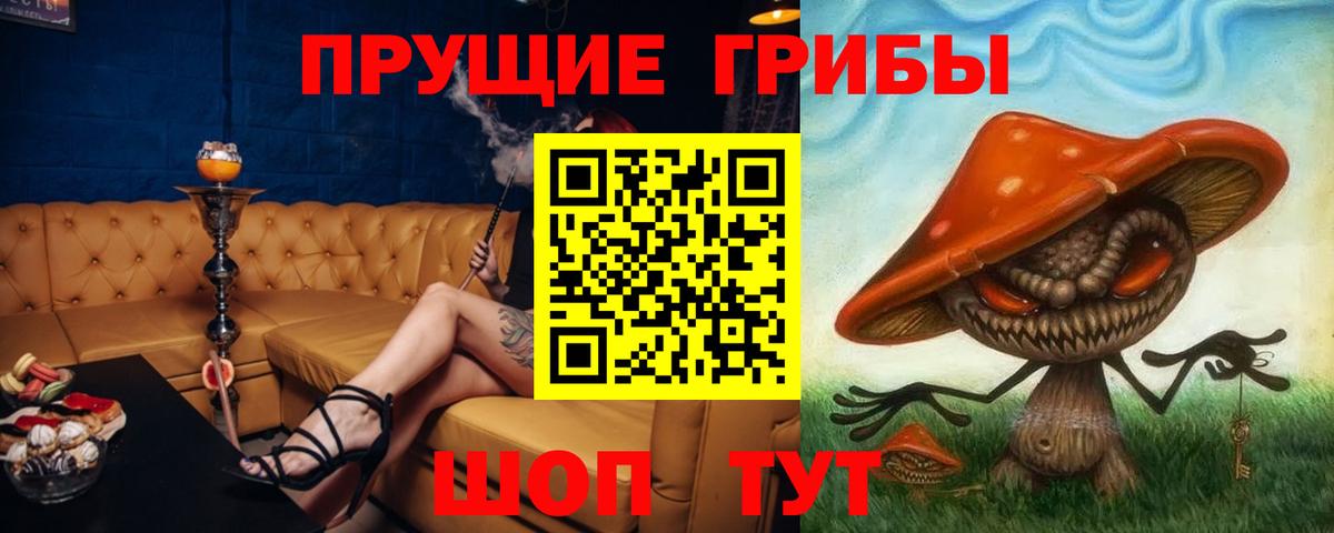 Галлюциногенные грибы Psilocybe  Вход с VPN  Сыктывкар 